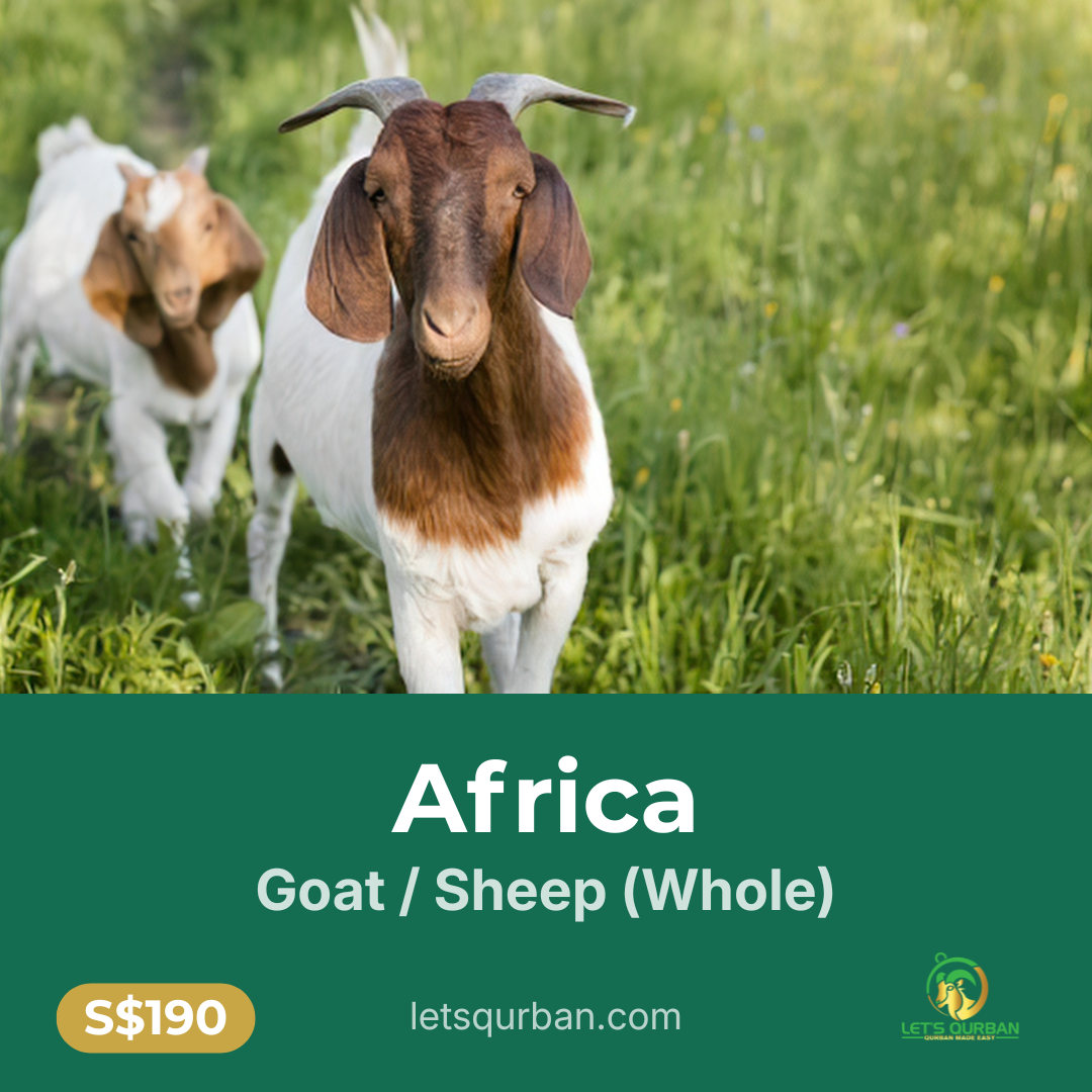 Africa Goat / Sheep Qurban 2026 | Zambia, Malawi & Uganda