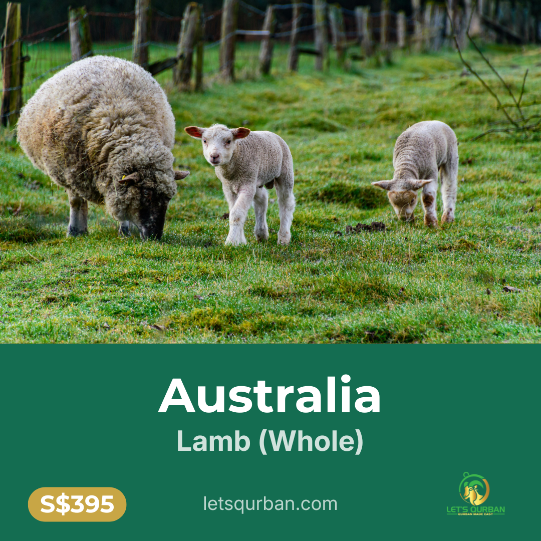 Australia Lamb Qurban — Inclusive of Delivery