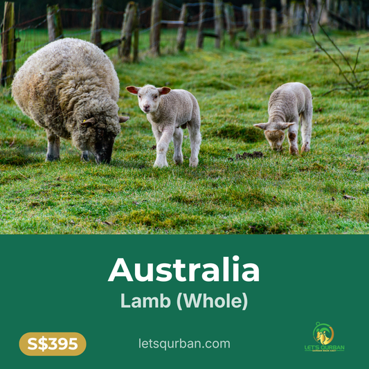 Australia Lamb Qurban — Inclusive of Delivery
